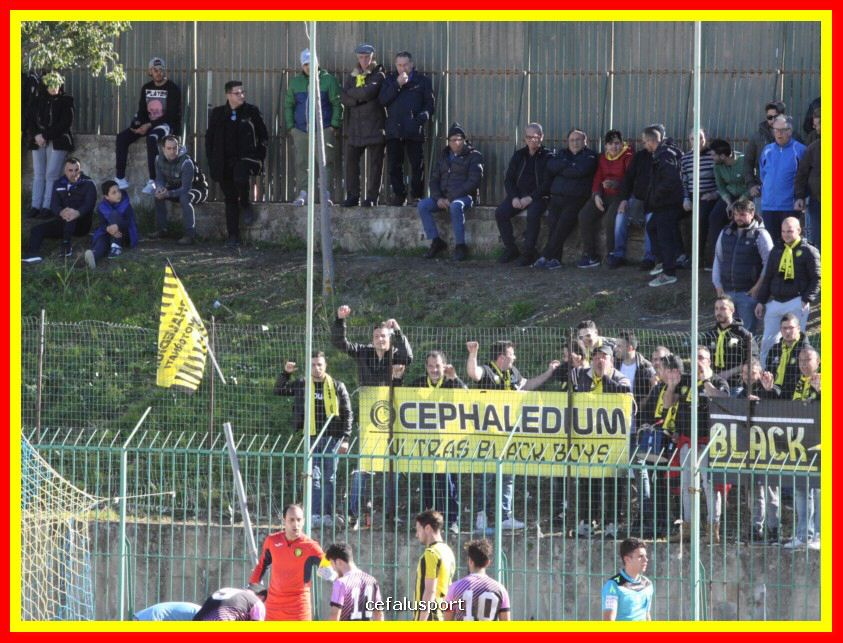 190310 Cephal_Torrenov 050_tn.jpg